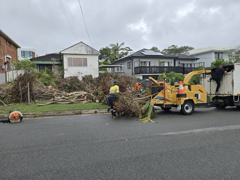 Emergency storm damage tree work Sydney